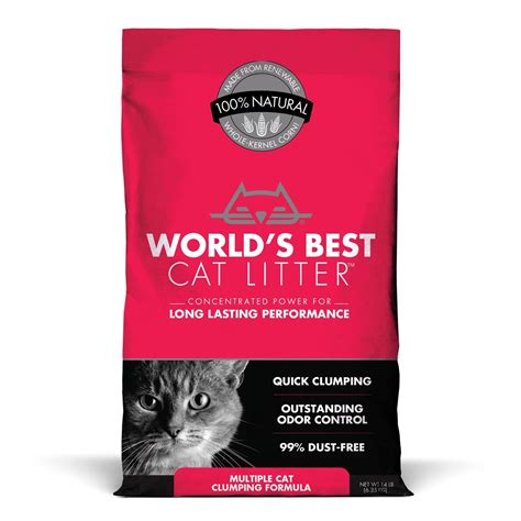 best dust free cat litter|10 Best Low.